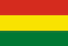 La bandera de Bolivia en la Copa América 2021