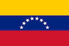 La bandera de Venezuela en la Copa América 2021